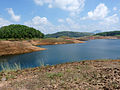View of Kulamavu Dam Reservoir.jpg