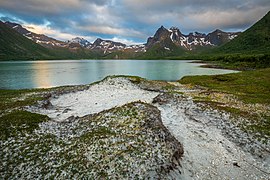 Sandy terrain at Morfjorden in Hadsel, Nordland, Norway, 2022 June.jpg