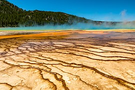 Yellowstone National Park (WY, USA), Grand Prismatic Spring -- 2022 -- 2485.jpg