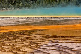 Yellowstone National Park (WY, USA), Grand Prismatic Spring -- 2022 -- 2492.jpg