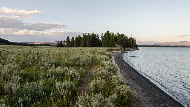 Yellowstone Lake and a small forest near the Lake Lodge, looking north 20110818 1.jpg
