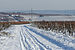 Snow over the Vineyards of Hallgarten and Hattenheim 121208 1.jpg