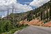 View of UT-14 in Dixie National Forest 20110813 1.jpg