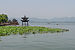 West Lake Pavilion and Water Lilies, Hangzhou 120529 1.jpg