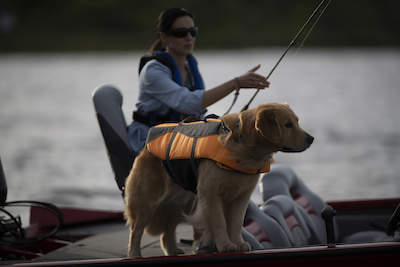 tips for boating with your dog